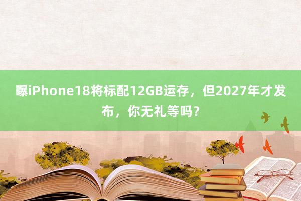 曝iPhone18将标配12GB运存，但2027年才发布，你无礼等吗？