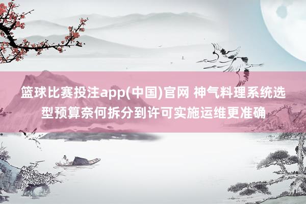 篮球比赛投注app(中国)官网 神气料理系统选型预算奈何拆分到许可实施运维更准确