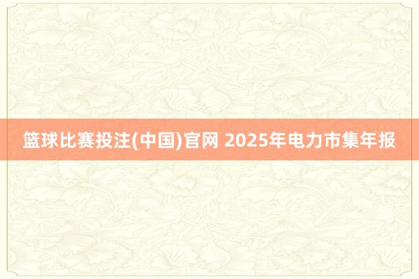 篮球比赛投注(中国)官网 2025年电力市集年报