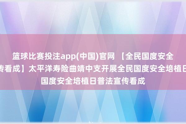篮球比赛投注app(中国)官网 【全民国度安全培植日普法宣传看成】太平洋寿险曲靖中支开展全民国度安全培植日普法宣传看成