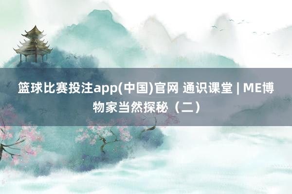 篮球比赛投注app(中国)官网 通识课堂 | ME博物家当然探秘（二）