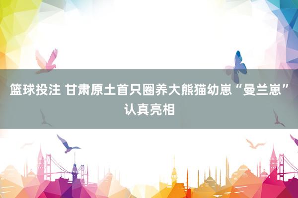 篮球投注 甘肃原土首只圈养大熊猫幼崽“曼兰崽”认真亮相