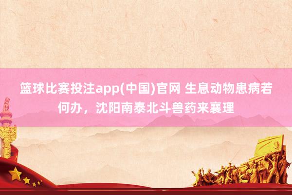 篮球比赛投注app(中国)官网 生息动物患病若何办，沈阳南泰北斗兽药来襄理