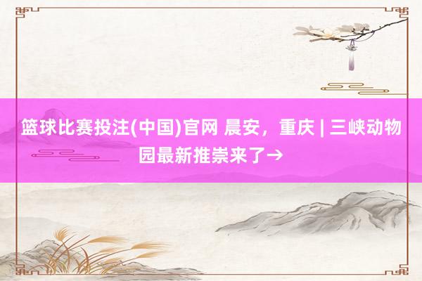 篮球比赛投注(中国)官网 晨安，重庆 | 三峡动物园最新推崇来了→