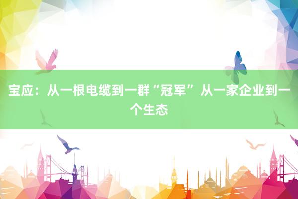 宝应：从一根电缆到一群“冠军” 从一家企业到一个生态