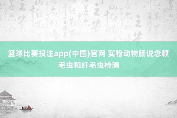 篮球比赛投注app(中国)官网 实验动物肠说念鞭毛虫和纤毛虫检测