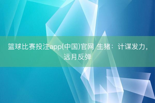 篮球比赛投注app(中国)官网 生猪：计谋发力，远月反弹